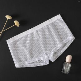 Underpants Mens Mesh Transparent Boxer Ice Silk Triangle Thin Low Waist Summer Underwear Shorts Panties