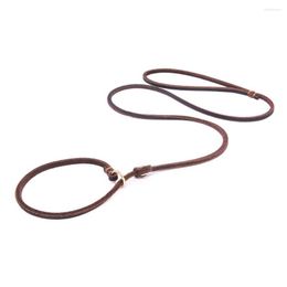 Dog Collars Slip Lead Leash Quality Handmade Real Leather Rope Chain Collar No Pulling Pet Puppy Pug Training Loop