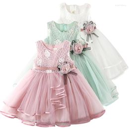 Girl Dresses Lace Appliques Flower Dress Kids Girls Clothing Toddler Grils Birthday Party 2-6 Years Children Casual Clothes