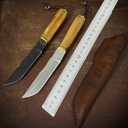 Top Quality C7149 Outdoor Survival Straight Knife Damascus Steel Tanto Point Blade Camel Bone Handle Fixed Blade Knives with Leather Sheath