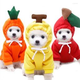 Dog Apparel Cute Fruit Clothes For Small Dogs Hoodies Warm Fleece Hooded Sweatshirt Puppy Cat Costume Coat French Chihuahua