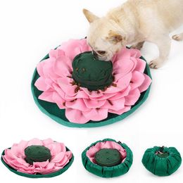 Kennels Pet Dog Snuffle Mat Sniffing Training Olfactory Activity Blanket Feeding Food Slow Release Stress Toy