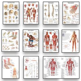 Decorative Objects Figurines Human Anatomy Body Organ Bones Picture HD Poster Canvas Painting And Printmaking Room Wall Art Decoration Cuadro 230715