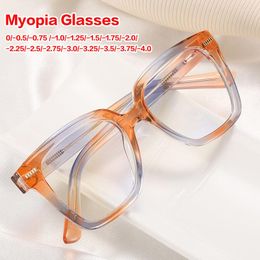 Sunglasses Myopia Glasses Women Vintage Oversized Frame Female Anti Blue Light Prescription Eyeglasses For -1.25 2.5