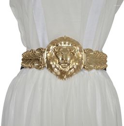 Belts Women's Runway Fashion Gold Lion Buckle Elastic Cummerbunds Female Dress Corsets Waistband Decoration Wide Belt R1382