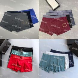 Modal Underpants Sexy Mens Boxers Designer Brand Letter Printed Cool High Quality Sports Men Underwear With Box