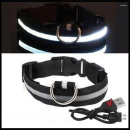 Dog Collars Rechargeable Adjustable LED Flashing Glowing Collar