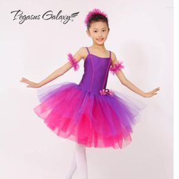 Stage Wear Purple Long Tutu Skirt Gymnastics Leotard F Girls Saia Classic Ballet Clothes Children Adulto Dance Costume Women Dancing