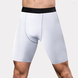 Running Shorts Quick Dry Sports Men 2023 Summer Fitness Joggings Basketball Breathable Training Workout Bodybuilding Gym