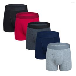 Underpants Cotton Men's Panties Sports Solid Colour Flat Horn Lengthened Opening Style