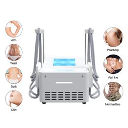 CE Approved ems cryo body slimming machine with 4 paddles plate fat freezing cryo ems pads beauty machine