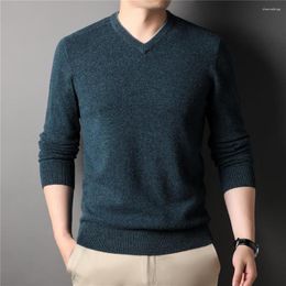 Men's Sweaters Pure Merino Wool Solid Color V-Neck Knitted Sweater Men Clothing Brand Autumn Winter Arrival Pullover Z3054