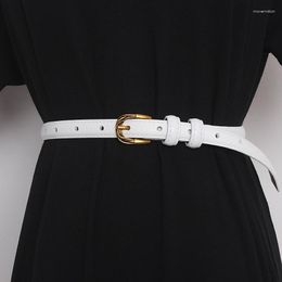 Belts Women's Runway Fashion Genuine Leather Cummerbunds Female Dress Corsets Waistband Decoration Narrow Belt TB2401