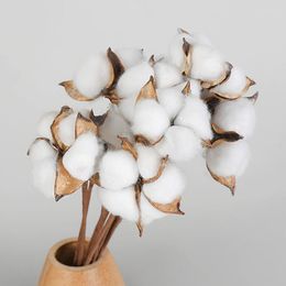 Decorative Flowers 10pcs Dried Cotton Stems Natural Head Wedding Marriage Party Home Living Room Decoration Accessories