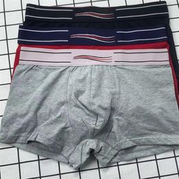 Mens Intimate Underwear Comfortable and Breathable Boys Underpants with Striped Pattern Various Colour Styles Everyday Wear289s