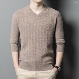 Men's Sweaters Brand Merino Wool V-Neck Knitted Sweater Men Clothing Autumn Winter Arrival Classic Warm Pullover Homme Z3042