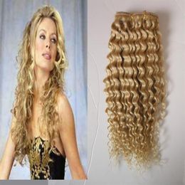#613 Bleach blonde Afro Kinky Curly Clip In Hair 100g 7pcs Lot 4A 4b 4cafrican american clip in human hair extensions273A