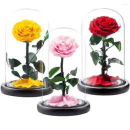 Decorative Flowers Preserved Flower Attractive Aesthetic Nice-looking Mother's Day Supplies Glass Cover Rose Ornament