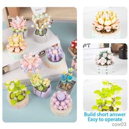 Blocks DIY Potted Plants Succulents Cactus Bonsai Tree Gardens Romantic Building Blocks Model Bricks Kids Sets Kits Toys R230718