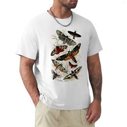 Men's Polos Victorian Moth Insects Illustration T-Shirt Oversized Man Clothes Summer Tops T Shirt Men