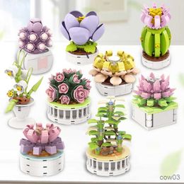 Blocks Block City DIY Potted Plants Succulents Cactus Bonsai Tree Gardens Romantic Building Blocks Model Kids Sets Kits Toys R230718