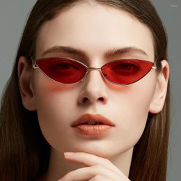 Sunglasses 2023 Classic Cat Eye Alloy Woman Brand Designer Small Frame Sun Glasses Female Vintage Metal Oculos Feminino