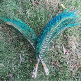 whole 1000 PCS Peacock sword fern feather 25-30cm 10-12inch Wedding centerpiece decor3300
