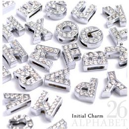 Instock Clearance 260Pcs Lot DIY Slide Letters With Rhinestone Charms For 10mm Pet Dog Collars 2211