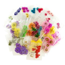Nail Art Decorations 20 Pack A_Grade Real Flower Assorted Styles Pressed Real Flower 120 Nail Art Natural Dry Flowers 230718