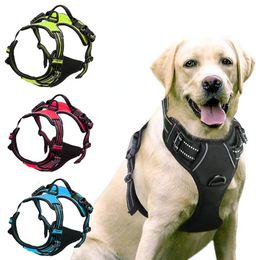 Dog Collars Leashes Dog Harness Leash Vest Chest Clothes Reflective Walking Adjustable Small Medium Large Safety Breathable Harness Pet Accessories 230719