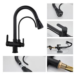 Kitchen Faucets Pull-out Three-in-one And Cold Water Faucet Pure Household Washbasin Black