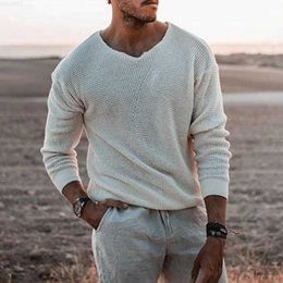 Men's Sweaters 2022 Spring Men Sweater Fashion Solid Colour V Neck Long Sleeve Knitted Pullover Sweater Soft Slim Casual Sweater L230719