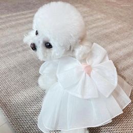 Dog Apparel Cute Summer Dress Wedding Dogs Clothing Cat Party Thin Elegant Girl Pet Princess Puppy Skirt Teddy