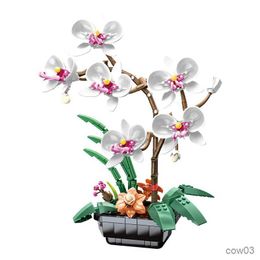 Blocks City Creativity Simulation Flower White Phalaenopsis Orchid Potted Ornaments Bonsai Building Blocks Bricks Toys Christmas Gifts R230720