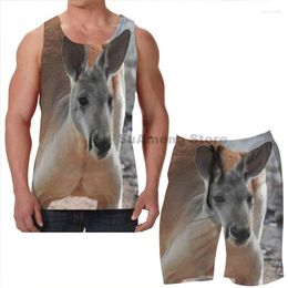 Men's Tracksuits Summer Funny Print Men Tank Tops Women Red Kangaroo Beach Shorts Sets Fitness Vest