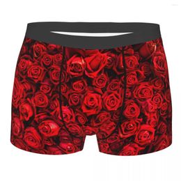Underpants Men's Panties Boxers Underwear Red Natural Roses Sexy Male Shorts