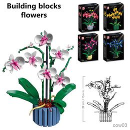 Blocks Bouquet Orchid block flower Succulents Potted Building Blocks Romantic Assembly Home decoration girl gifts R230720