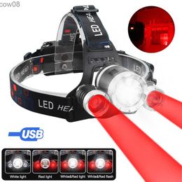 Headlamps Outdoor Green/Red/UV395nm+White Dual Light Headlamp 4 Modes Headlight USB Charging Fixed Focus Head Lamp for Camping Fishing HKD230719