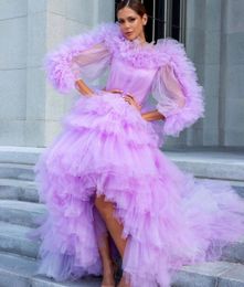 Pretty Ruffles Prom Dresses Long Sleeve High Low Evening Gowns 2023 Reception Special Occasion for Photo Shoot