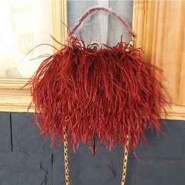 Evening Bags Women's 2023 Trend Brand Ostrich Hair Banquet Bag Luxury Designer Handbags Fashion Chain Shoulder Clutches