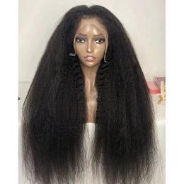 Kinky Straight Virgin Human Hair Straight Full Lace Frontal Wig Brazilian hair Indian hair Malaysian Hair Peruvian Hair Burmese Hair Natural Colour
