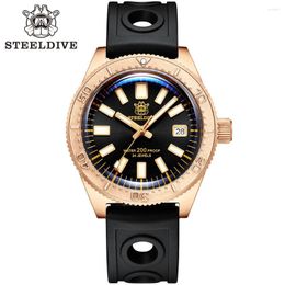 Wristwatches STEELDIVE SD1962S C3 Green Luminous Sapphire Glass NH35 Automtic Movement Black Dial Mens Dive Watch