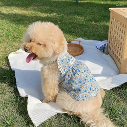 Hundebekleidung Haustier Blumenkleid Ins Kleidung Teddybär Frühling und Sommer Rock Atmungsaktive dünne Kleider für kleine Hunde