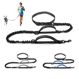 Dog Collars Leashes High Qulity Retractable Hands Free Dog Leash For Running Dual Handle Bungee Leash Reflective For Large Dogs Pet Supplies 230719