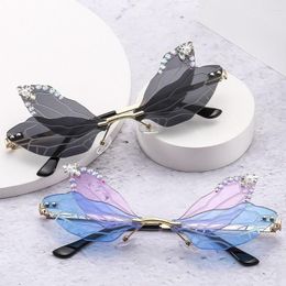 Sunglasses Halloween Costume Party Irregular Eyewear Diamond Sun Glasses Shades Dragonfly Wing Bling