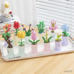 Blocks Zodiac Flower Building Block Eternal Bouquet Model Diy Home Decoration Small Particles Educational Toy Children Birthday Gift R230720