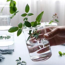 Vases Nordic Transparent Glass Hydroponic Vase Creative Tabletop Flower Pot Green Plant Bonsai Container Home Decoration Accessories