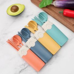 Dinnerware Sets Tableware Set With Cases Reusable Travel Cutlery Camp Utensils Spoon Fork Chopsticks Portable Case 5 PCS/Set Boxes