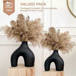 Dried Flowers Fluffy Pampas Grass Decor Fall Dried Flowers Short Pompas Small Pampas Wedding Arrangement Decoration Bulk 30-Stems-Dry Pompous R230720