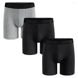 Underpants 3pcs Pack Mid-Long Boxer Shorts Underwear Man Cotton Male For Men Sexy Homme Boxershorts Box Panties Slips